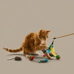 Orange tabby cat playing with a feather toy surrounded by small cat toys on a rug